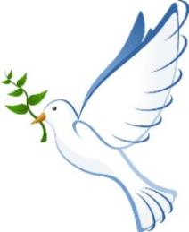 20151116-dove-img-lge