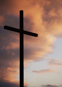 20160615-cross-img-lge