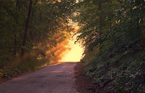 20160621-path-img-lge